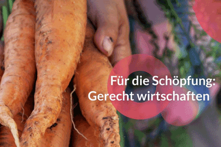 Quelle: https://umwelt.ebfr.de/